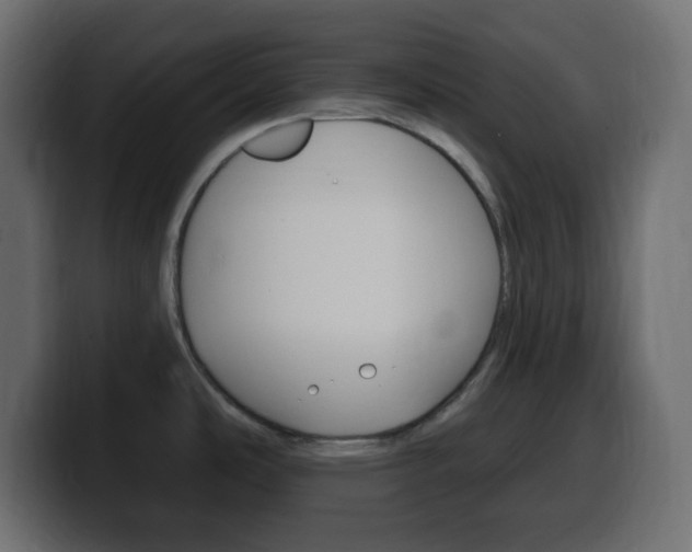 X0000100391486200806060823