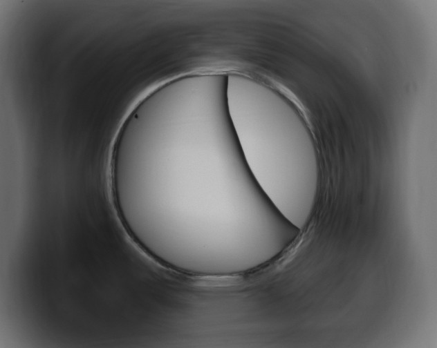 X0000100391487200806060823