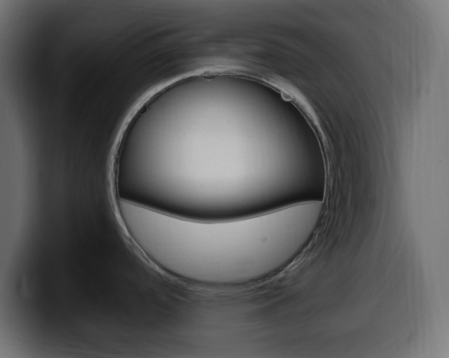 X0000100391488200806060823