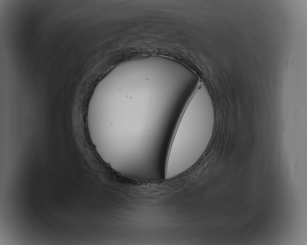 X0000100391489200806060822