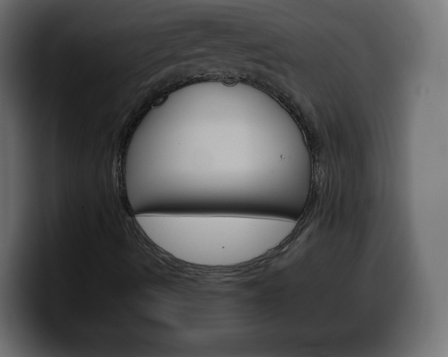 X0000100391490200806060822