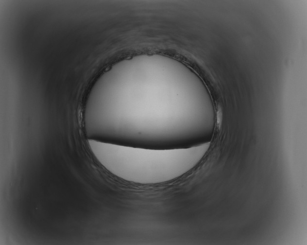 X0000100391492200806060822
