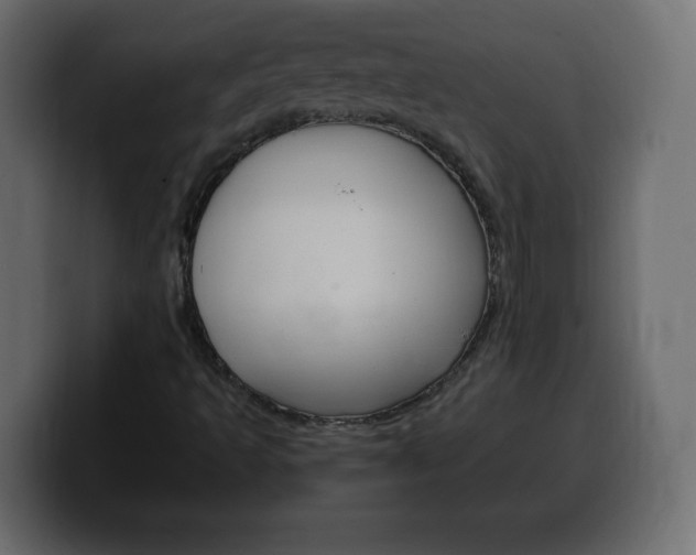 X0000100391493200806060822