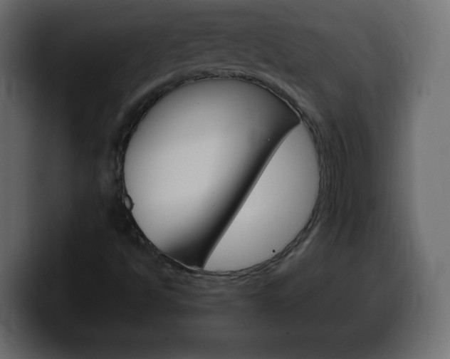 X0000100391494200806060822