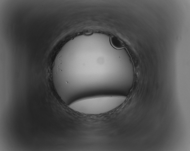 X0000100391495200806060822