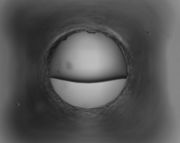 X0000100391496200806060822