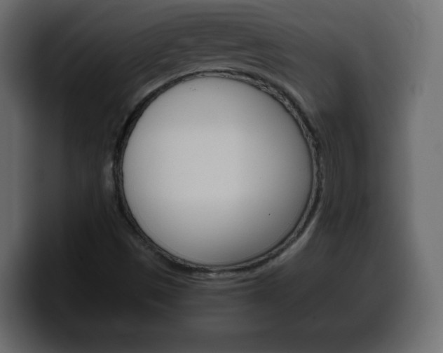 X0000100391497200806060822