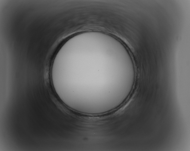 X0000100391499200806060822