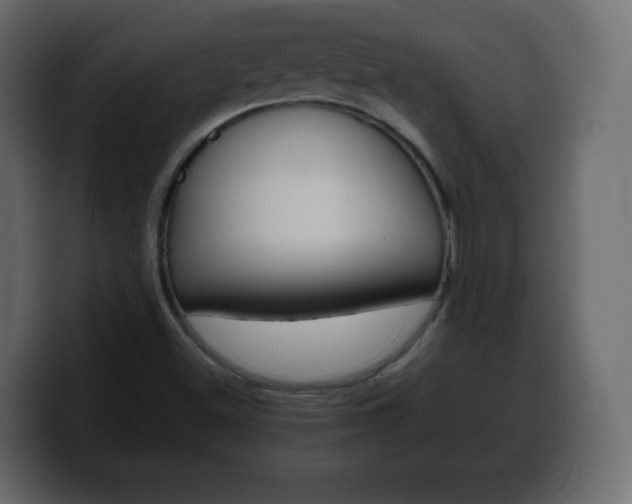 X0000100391500200806060822