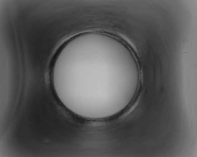 X0000100391501200806060822