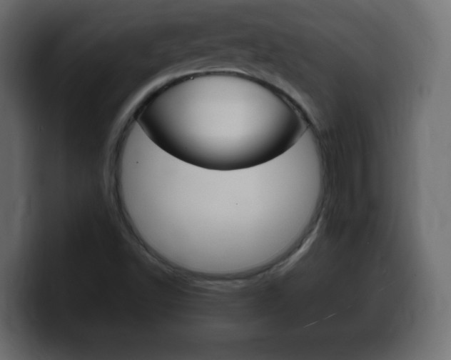X0000100391502200806060822