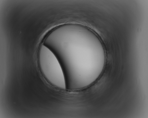 X0000100391503200806060822