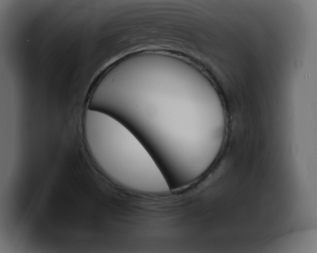 X0000100391505200806060823
