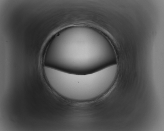 X0000100391506200806060823