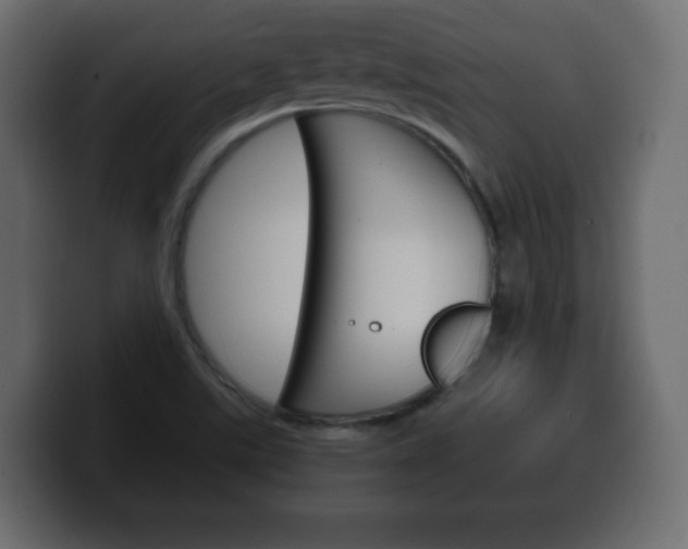 X0000100391507200806060823