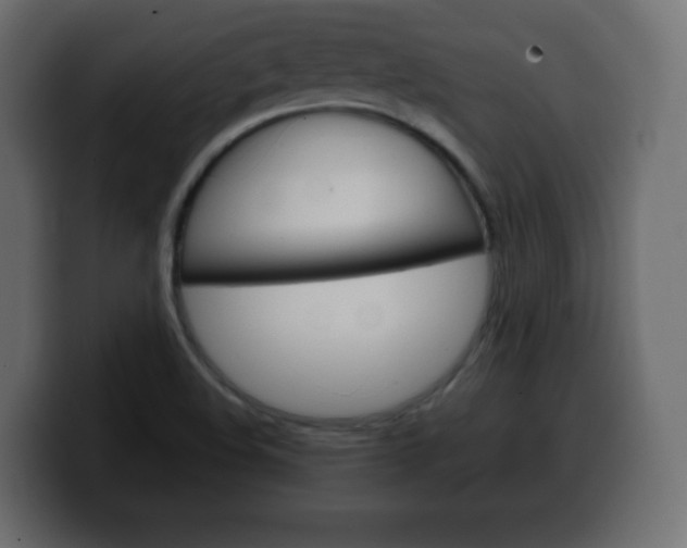 X0000100391508200806060823
