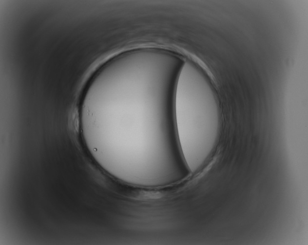 X0000100391509200806060823