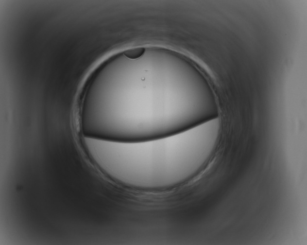 X0000100391510200806060823