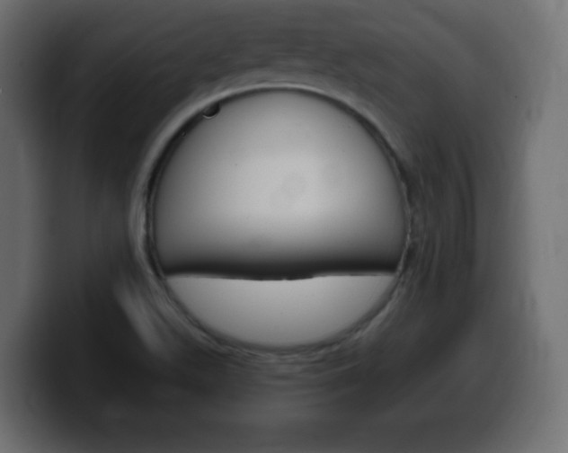 X0000100391511200806060823