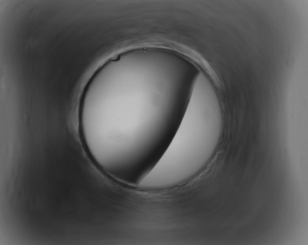 X0000100391512200806060823
