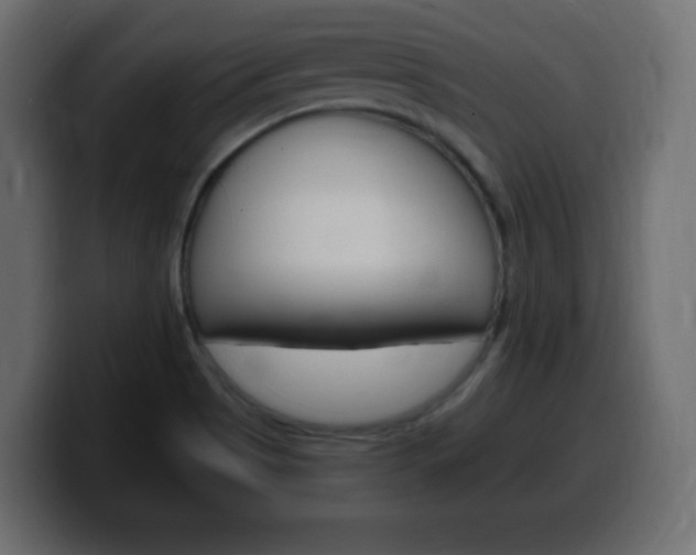 X0000100391513200806060823