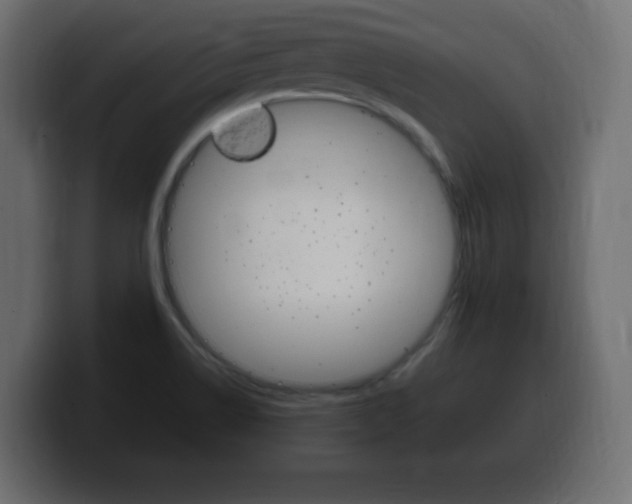 X0000100391514200806060823