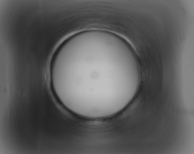 X0000100391515200806060823