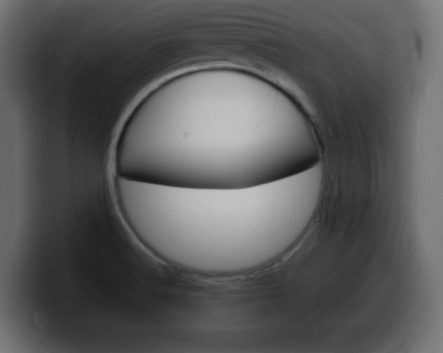 X0000100391516200806060823