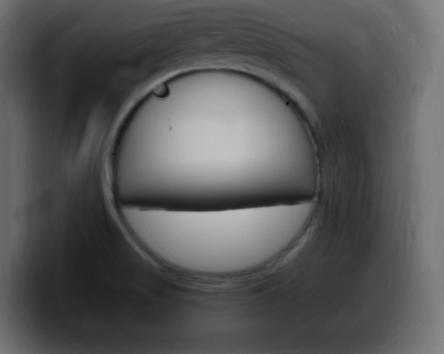 X0000100391517200806060823