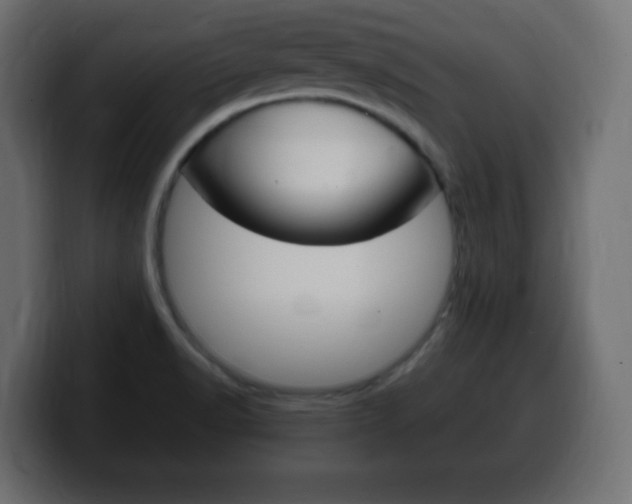 X0000100391518200806060823