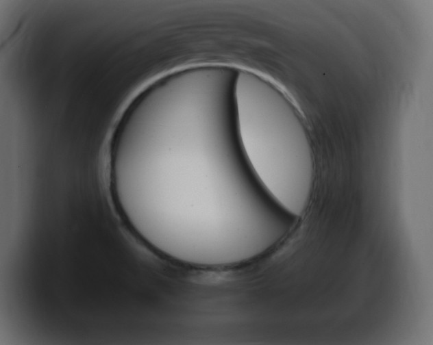 X0000100391519200806060823