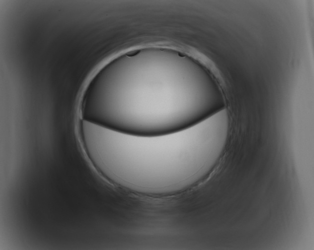 X0000100391520200806060823
