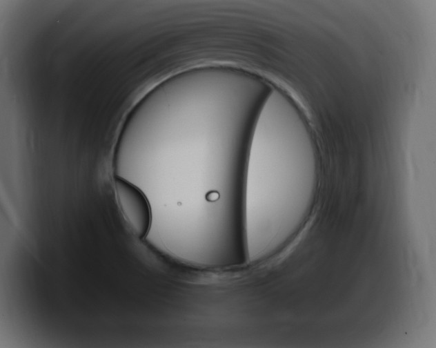 X0000100391521200806060823