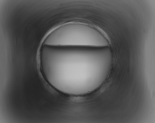 X0000100391522200806060823