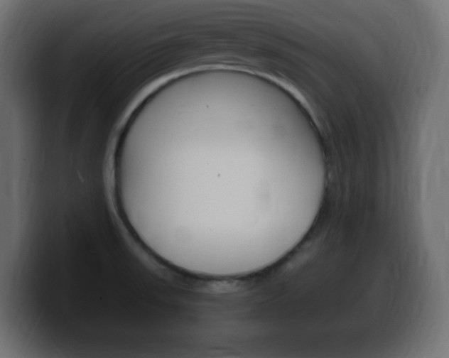 X0000100391523200806060823