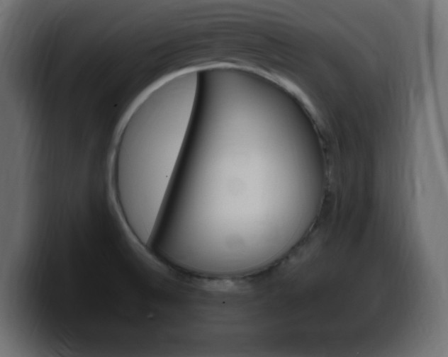 X0000100391524200806060823