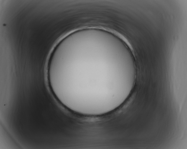 X0000100391525200806060823