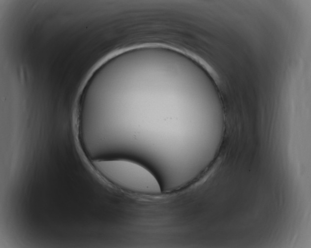 X0000100391526200806060823
