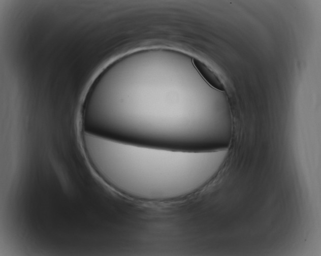 X0000100391527200806060823