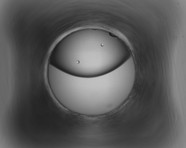 X0000100391528200806060823