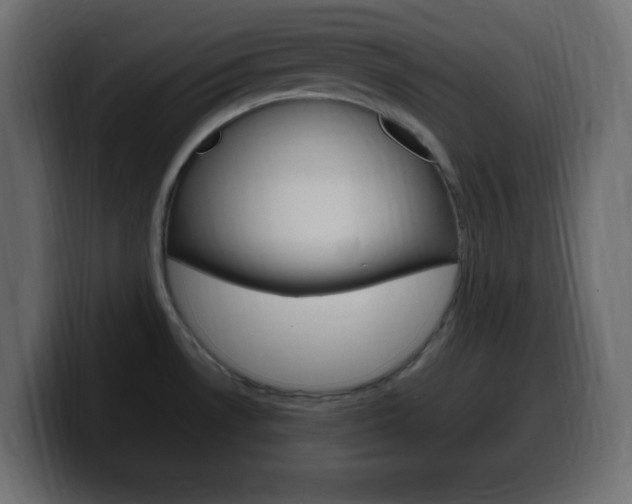 X0000100391530200806060823