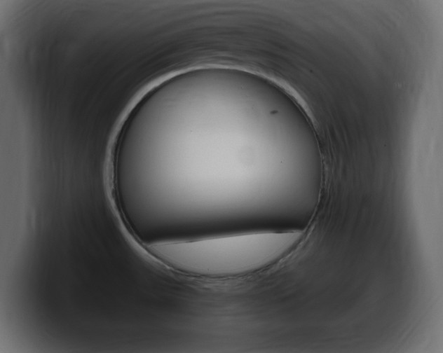 X0000100391531200806060823