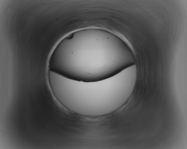X0000100391532200806060823