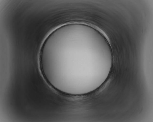 X0000100391533200806060823