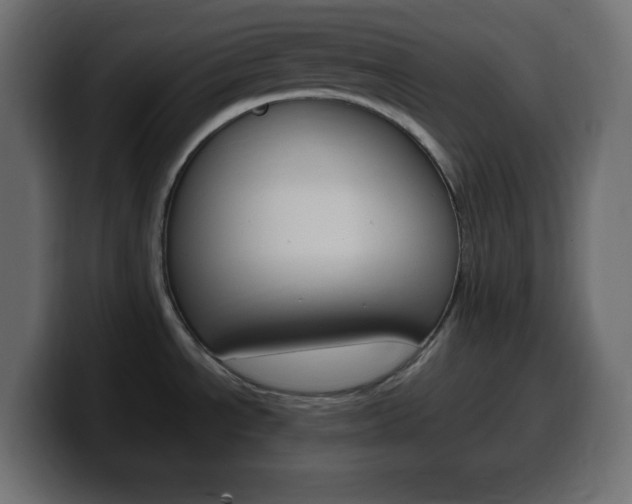 X0000100391534200806060823