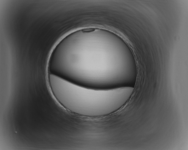 X0000100391536200806060823