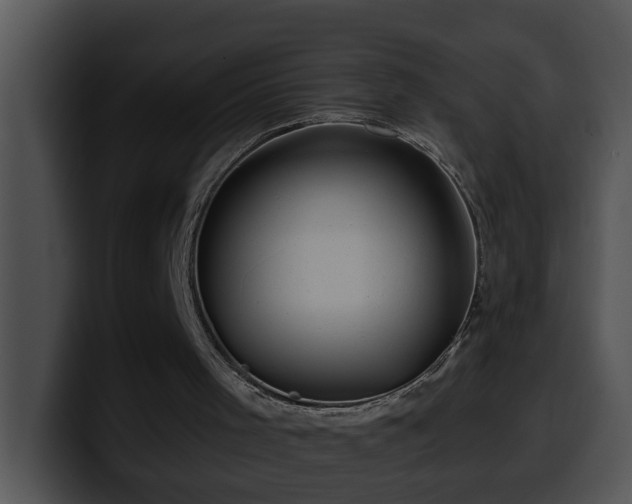 X0000100390001200806061304