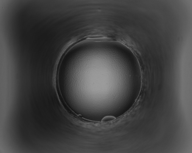 X0000100390003200806061304