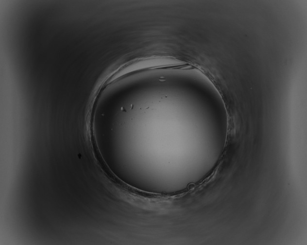 X0000100390004200806061304