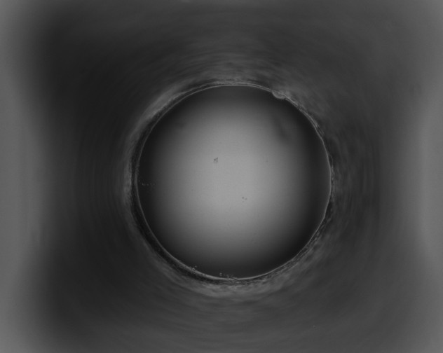 X0000100390005200806061304